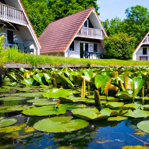 t Hooge Holt - Camping Hardenberg - Image N°3