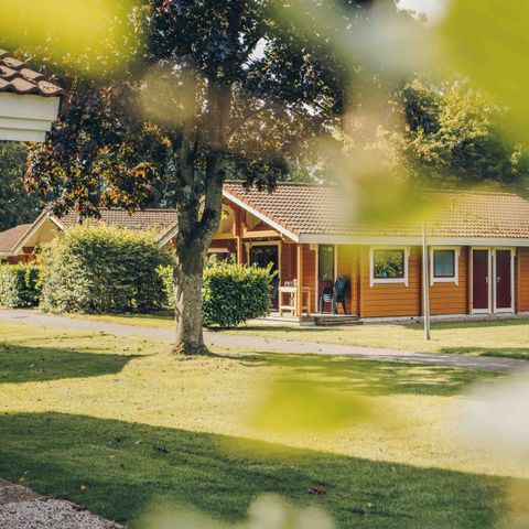 Bungalow 6 persons - The Great Gramsberger Comfort