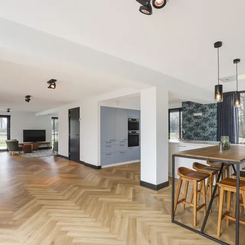 Group accommodation 12 persons - Villa Vechtrijk