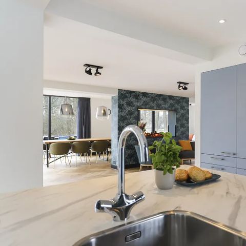 Group accommodation 12 persons - Villa Vechtrijk