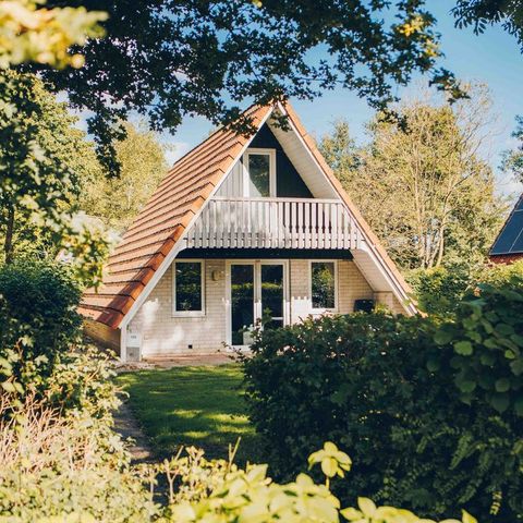 Bungalow 6 persons - Vechtdal