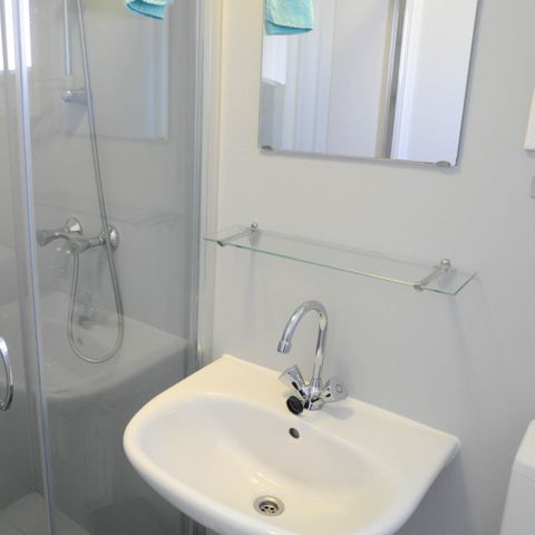 LODGE 4 people - Lodge Black-headed Gull