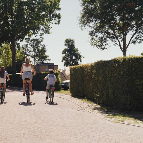 Villapark De Paardekreek - Nord-Beveland - Image N°3