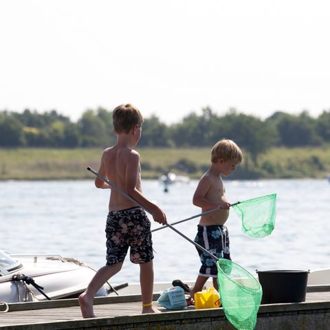 Villapark De Paardekreek - Camping Nord-Beveland - Image N°5