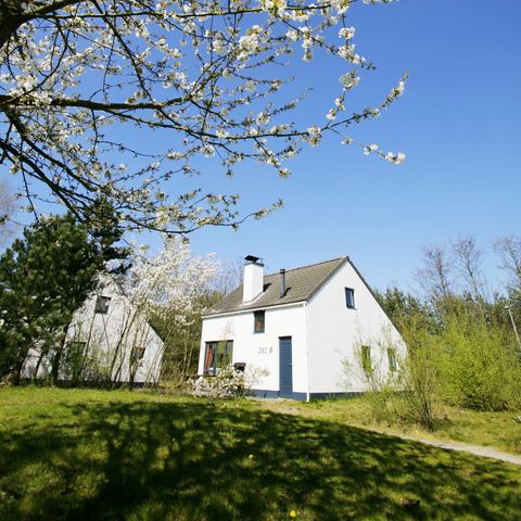 Bungalow 6 persons - Exclusive KM533