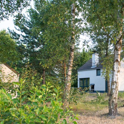 BUNGALOW 8 people - Select KM537