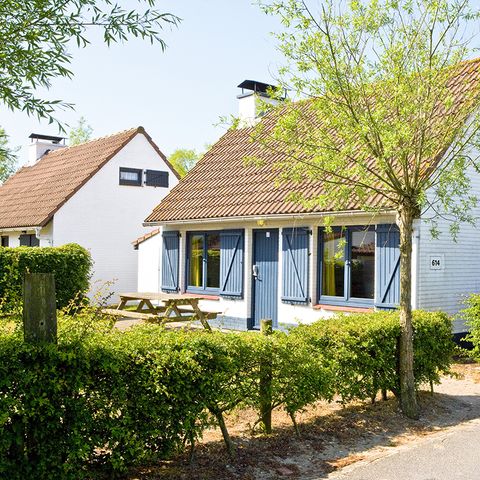BUNGALOW 6 people - Select OD517