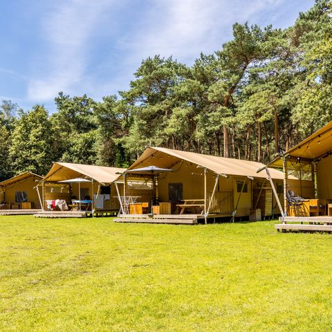 Canvas and wooden tent 6 persons