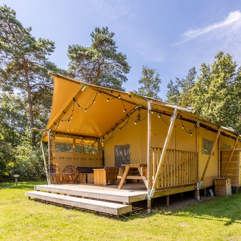 CANVAS AND WOOD TENT 6 people