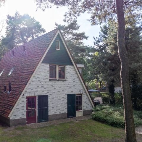 HOUSE 18 people - FV18 Comfort Plus