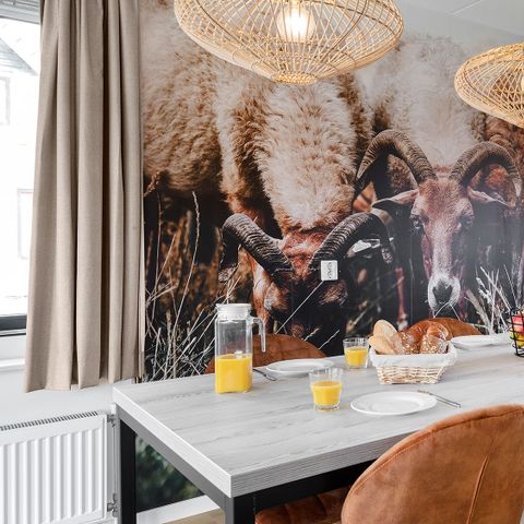 HOUSE 4 people - Hunze