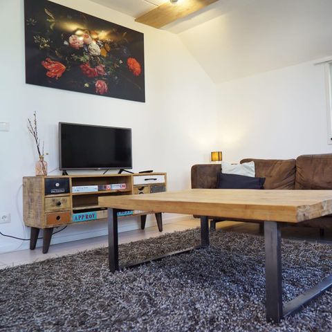 House 8 persons - Villa Veluwe