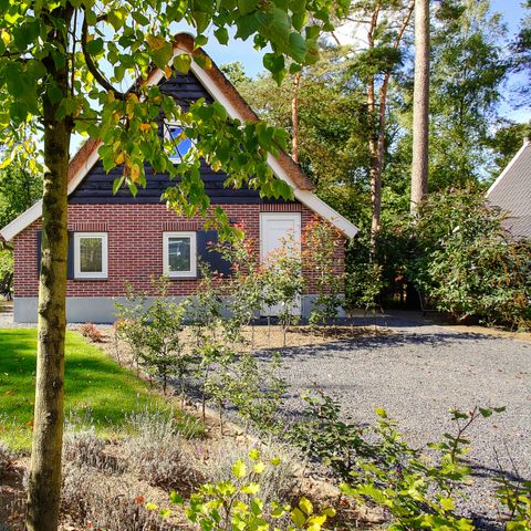 House 6 persons - Villa Veluwe