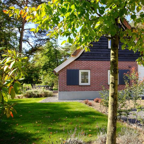 House 6 persons - Villa Veluwe