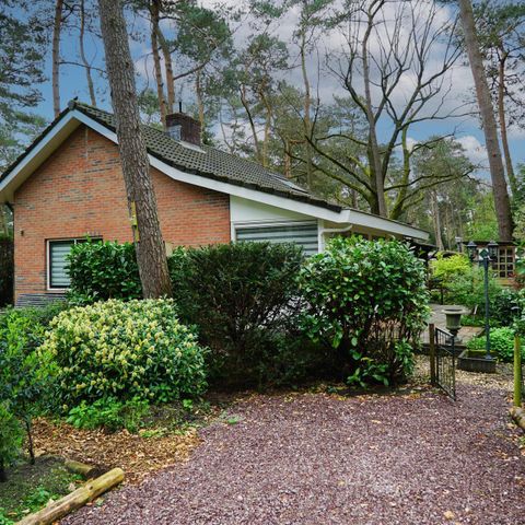 Bungalow 6 persons - Forest House