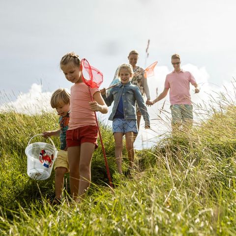 Landal Resort Haamstede - Schouwen-Duiveland - Image N°3