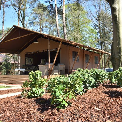 Tent 6 persons - Outdoor lodge