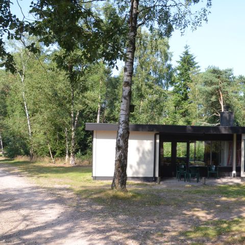 BUNGALOW 6 people - Forest