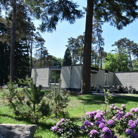 BUNGALOW 6 people - Ommer pet-friendly