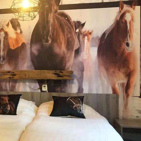 BUNGALOW 6 people - Pony