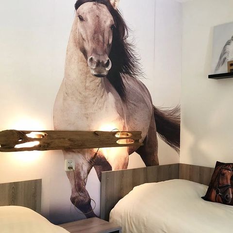 Bungalow 6 persons - Pony