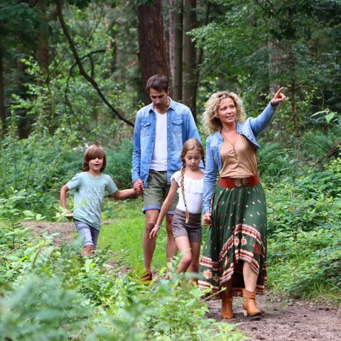 Camping Ommerland - Camping Ommen - Image N°6