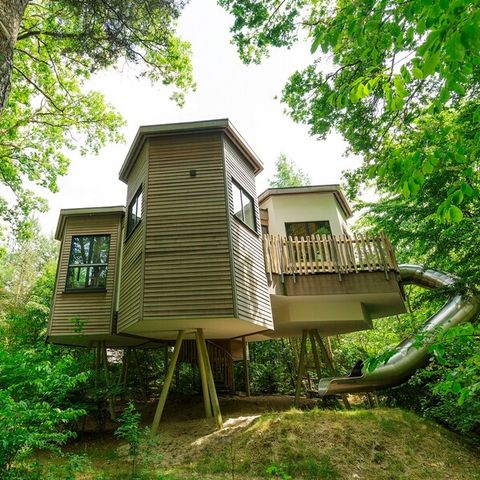 Accommodation 4 persons - Tree house BS1343