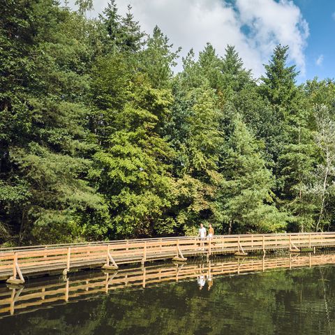 Center Parcs Bispinger Heide - Lower Saxony - Image N°6