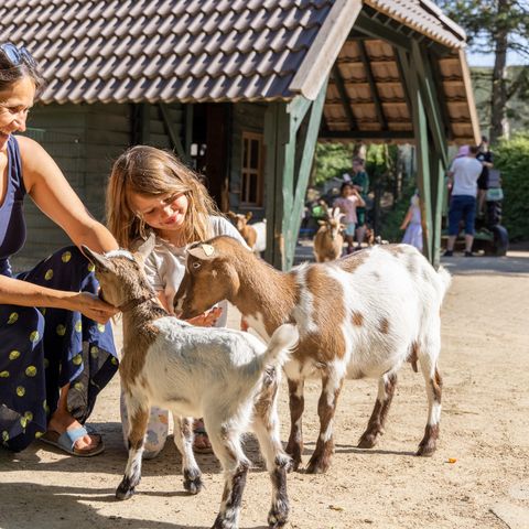 Center Parcs Bispinger Heide - Camping Lower Saxony - Image N°3