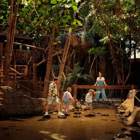 Center Parcs De Vossemeren - Belgian Limburg - Image N°5