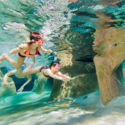 Center Parcs De Vossemeren - Belgian Limburg - Image N°6