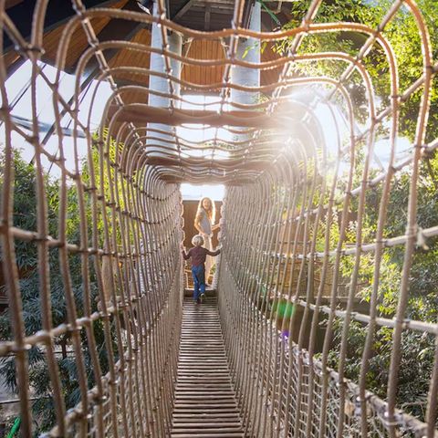 Center Parcs De Vossemeren - Belgian Limburg - Image N°4