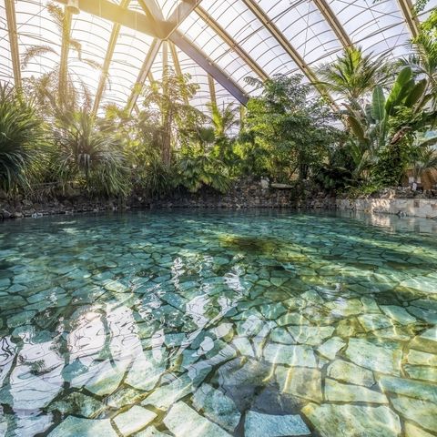 Center Parcs Park Erperheide - Belgian Limburg - Image N°4