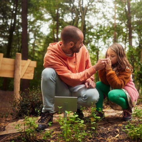 Center Parcs Park Erperheide - Belgian Limburg - Image N°3