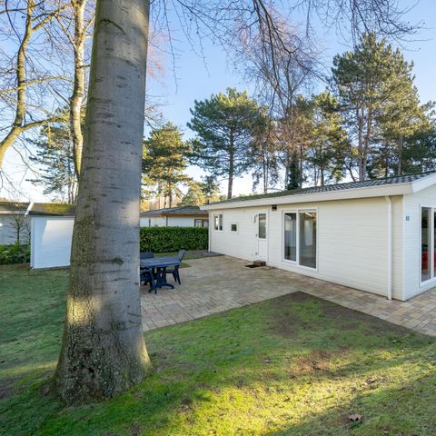 House 4 persons - Berkel 4