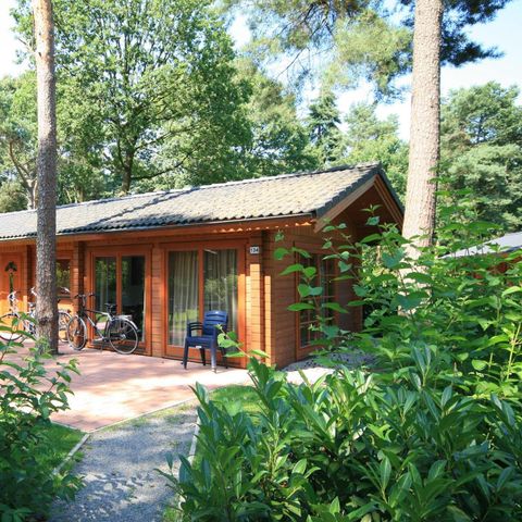 HOUSE 4 people - Boekhorst