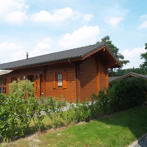 HOUSE 4 people - Boekhorst