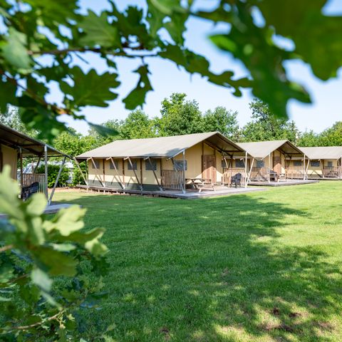 TENT 6 people - Woodlodge