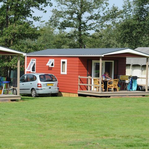Mobile home 4 persons - Forest Lodge