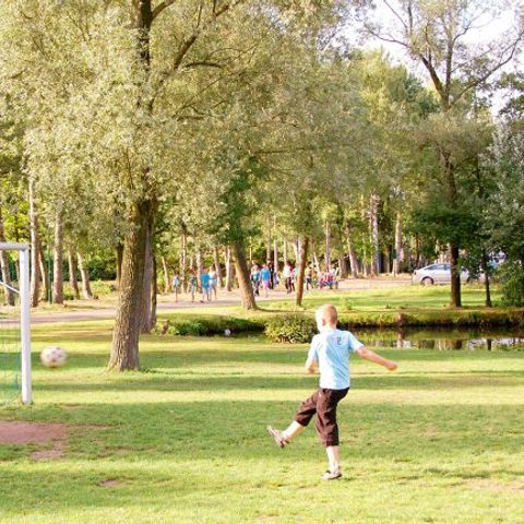 Oostappen park Parelstrand - Camping Belgian Limburg - Image N°3