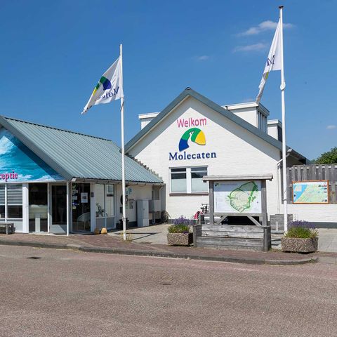 Molecaten Park Noordduinen - Camping Katwijk am Meer - Image N°2