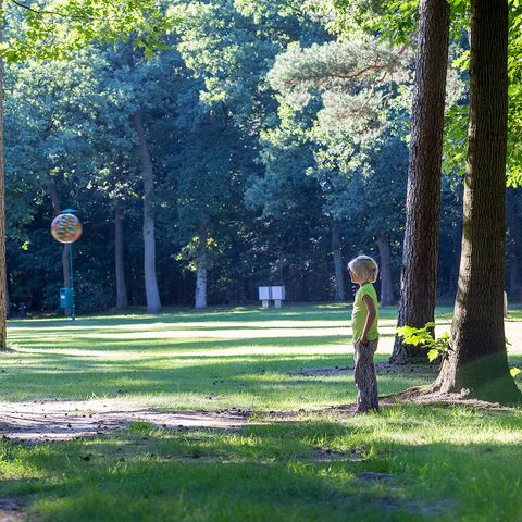 Oostappen park Arnhem - Camping Arnhem - Image N°6