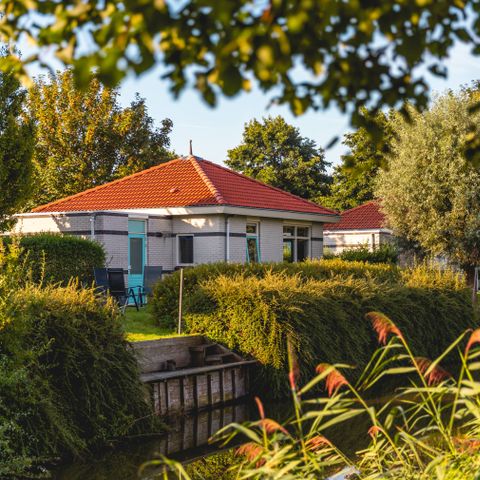 HOUSE 6 people - Horn