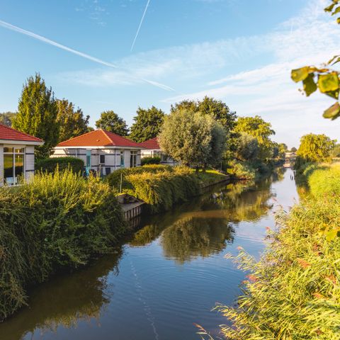 HOUSE 6 people - Horn