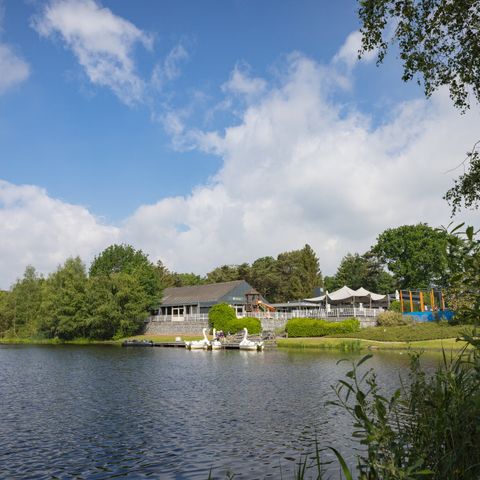 Roompot Bospark 't Wolfsven - Camping Geldrop Mierlo - Image N°5