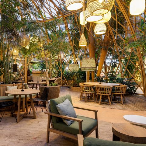 Center Parcs Parc Sandur - Emmen - Image N°6