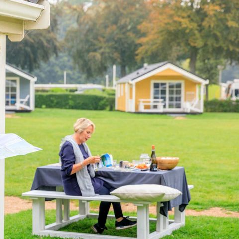 Molecaten Park Waterbos - Westvoorne - Image N°4