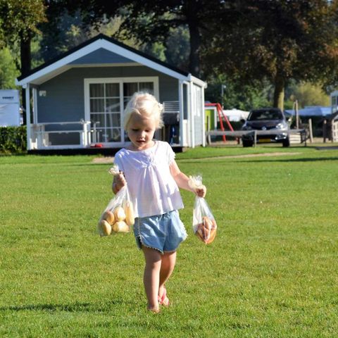 Molecaten Park Waterbos - Westvoorne - Image N°6