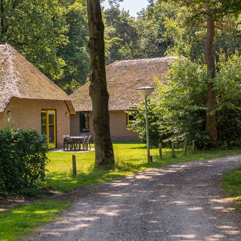 House 6 persons - Molecaten