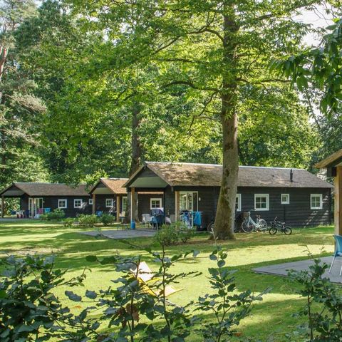 House 4 persons - Hanseatic
